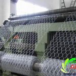 Hexagonal Wire Netting
