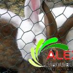 Hexagonal Wire Netting