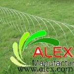 Razor Wire Roll Type