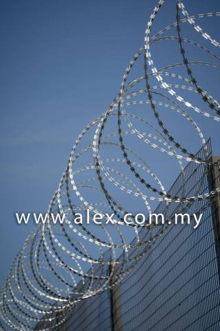 alex.com.my razor wire roll type (3)