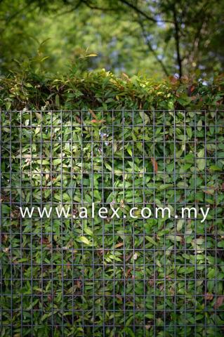 alex.com.my semi anti climb fencing (1)