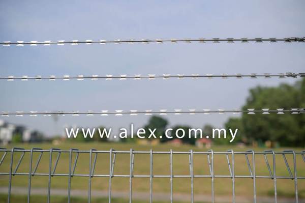 alex.com.my razor wire straight line (1)