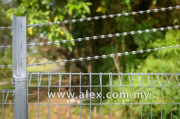 alex.com.my razor wire straight line (2)