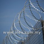 alex.com.my razor wire roll type (3)