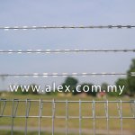 alex.com.my razor wire straight line (1)