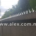 alex.com.my wall spikes (3)