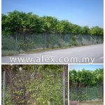 alex.com.my semi anti climb fencing (3)