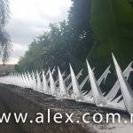 alex.com.my wall spikes (2)