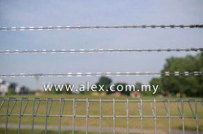 alex.com_.my-razor-wire-straight-line-1-1