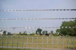 alex.com_.my-razor-wire-straight-line-1-1