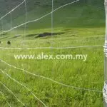 Farm Fence Farm Fencing Alex
